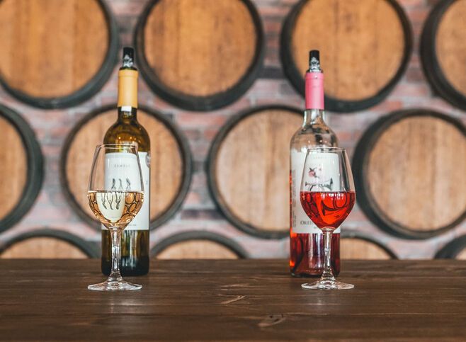 Enjoy a wine tasting experience in Nemea