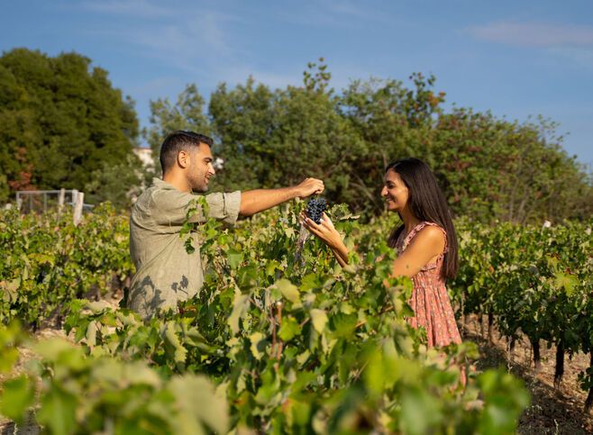 Enjoy a wine-growing tradition in Nemea that feels like it was gifted by the gods