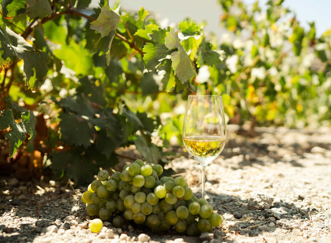 When it comes to Old World wines, Santorini makes a special case for attention