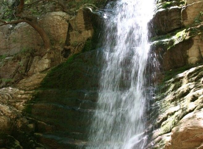MONTANEMA-photo-0