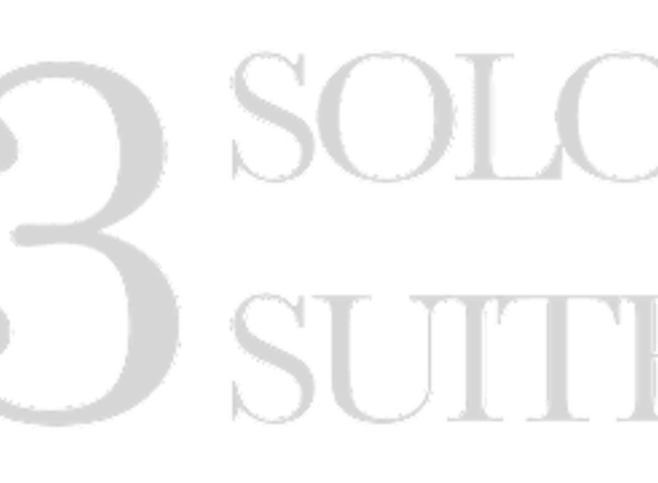 SOLONOS33-logo