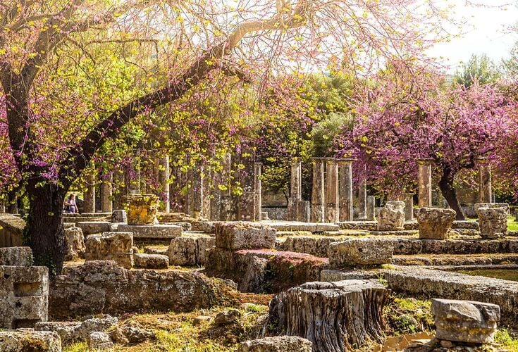 The best experience in Ancient Olympia, is in spring when the olive groves and flowers are in bloom