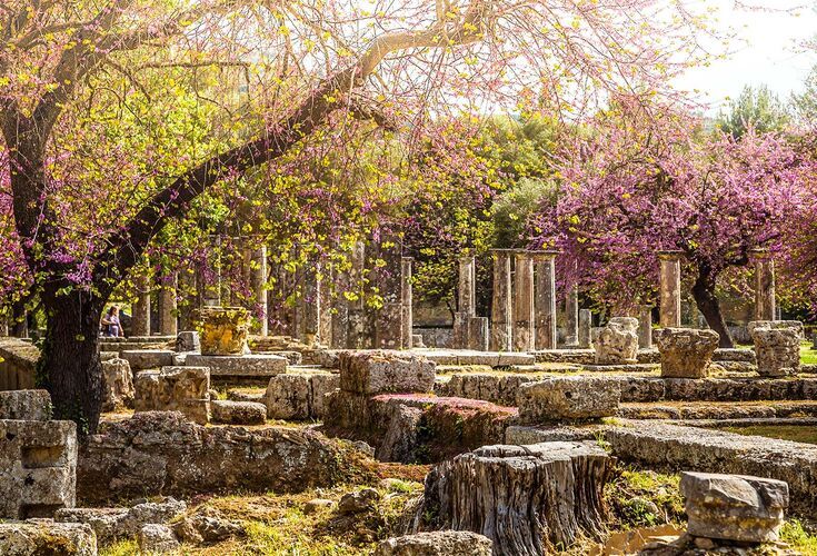 The best experience in Ancient Olympia, is in spring when the olive groves and flowers are in bloom