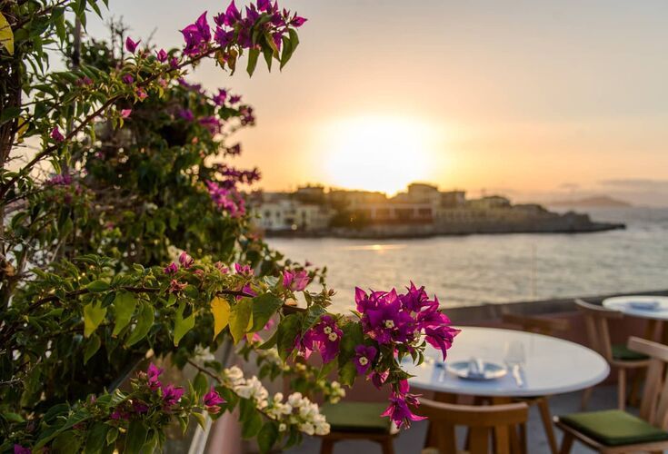 Pallas restaurant