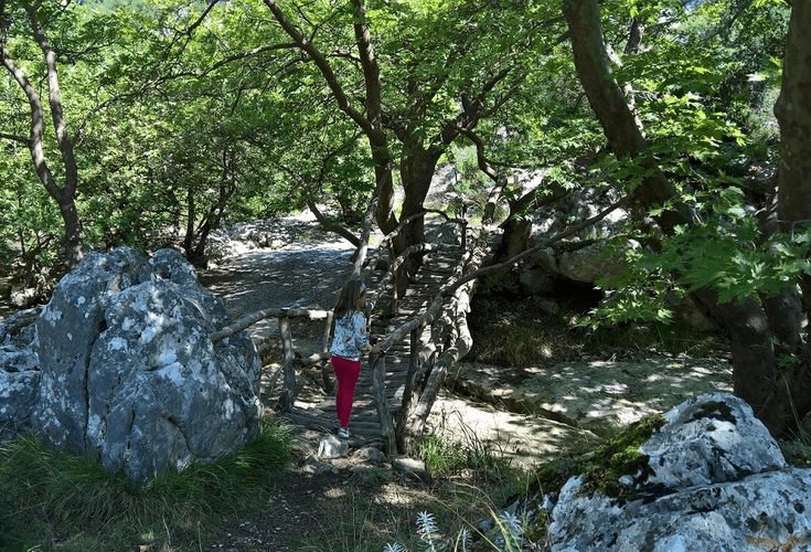 Kids hiking the Menalon trail 