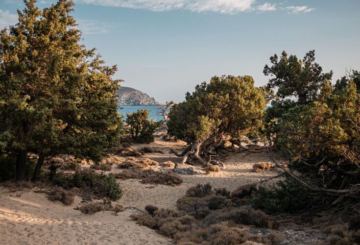 Kedrodasos beach 