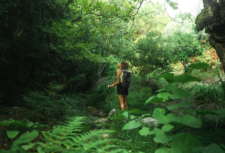 Hiking in Kechria, Skiathos