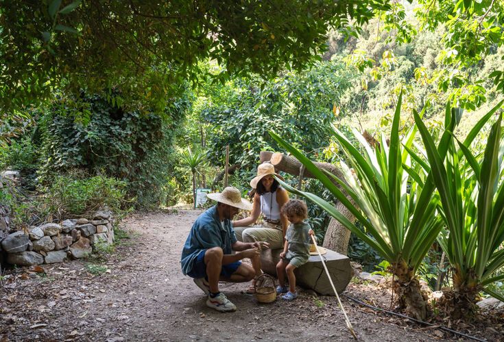 A family enjoys a peaceful walk through lush greenery
