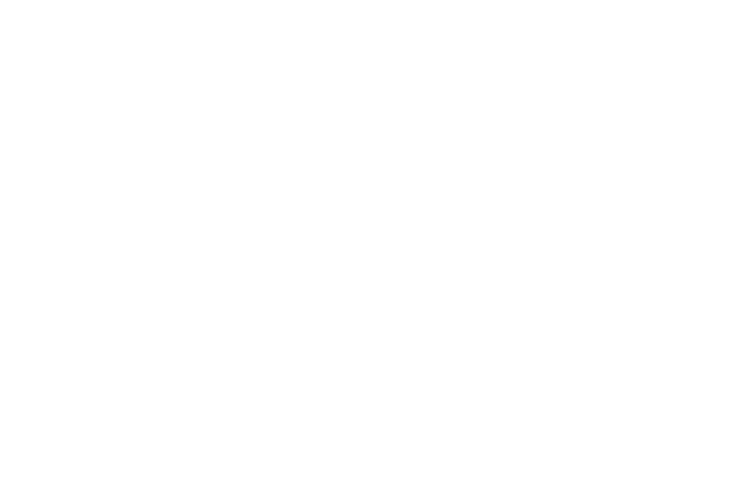 VILLAGEGOL-logo