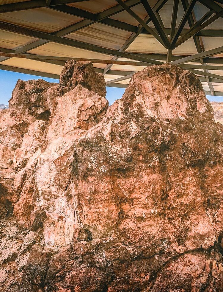 Look out for the largest petrified tree trunk, with a circumference of 13.7m