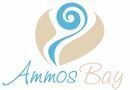AMMOSBAY-logo