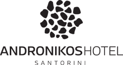 ANDRONIK-logo