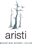 ARISTI-logo
