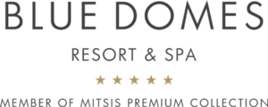 BLUEDOMES-logo