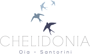 CHELIDONTV-logo