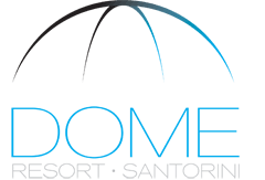 DOMESR-logo