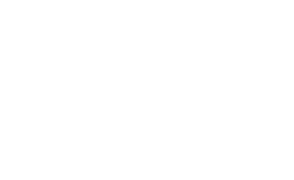 EAGLES-logo