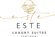 ESTELUXSUI-logo