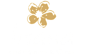 IRIANA-logo