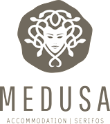MEDUSSA-logo