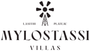 MYLOSTASSI-logo