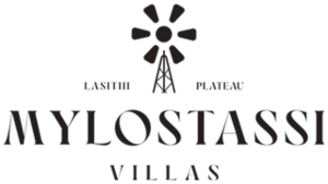 MYLOSTASSI-logo