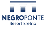 NEGROPONTE-logo