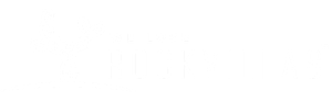 ROCKVILLAS-logo