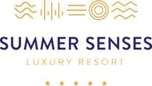 SUMMERSENS-logo