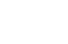 VILLAGEGOL-logo