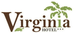 VIRGINIASA-logo