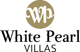 WHITEPV-logo