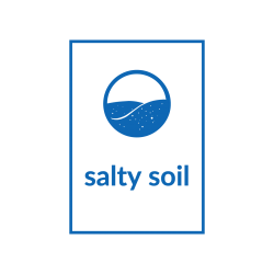 Salty Soil