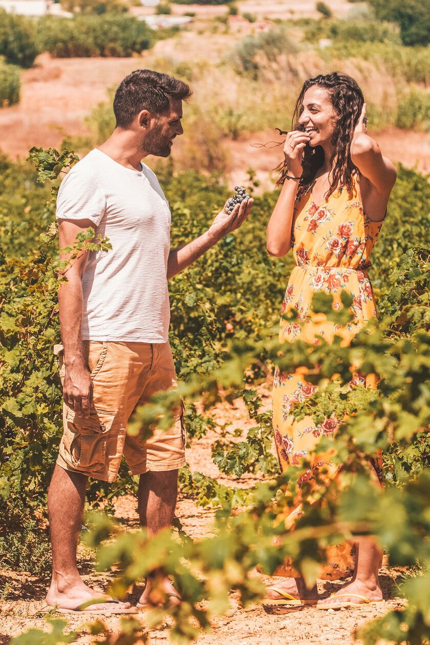 Puisez dans la culture du vin profondément enracinée de Lemnos