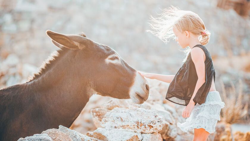 Little girl with donkey on the island of Mykonos