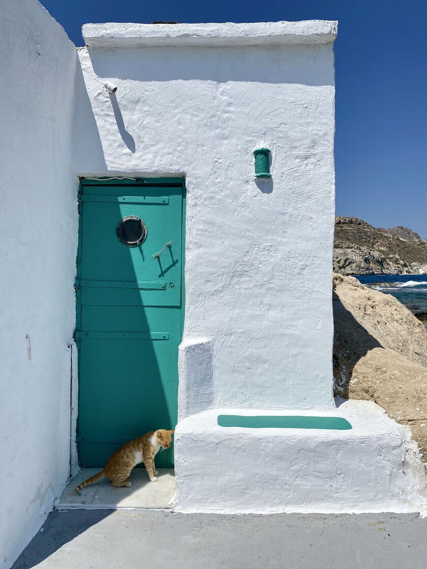 Classic Aegean architecture and inhabitants 