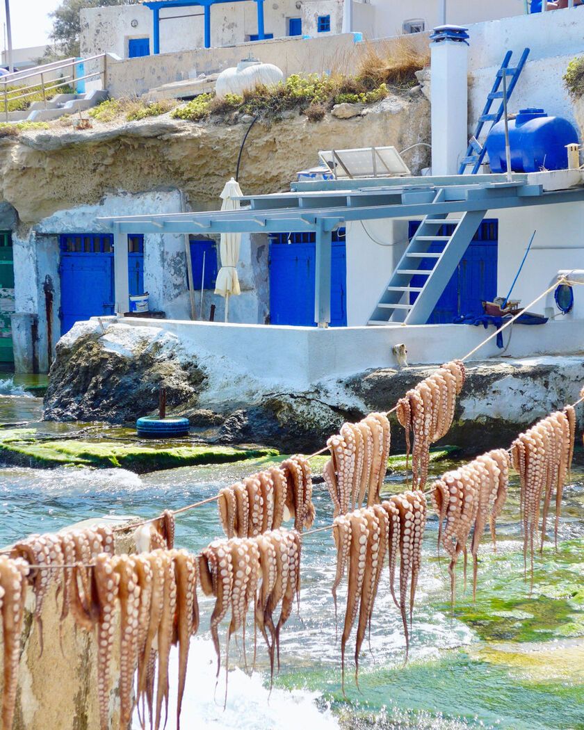 Octopi drying in the sun at Mandrakia in Milos
