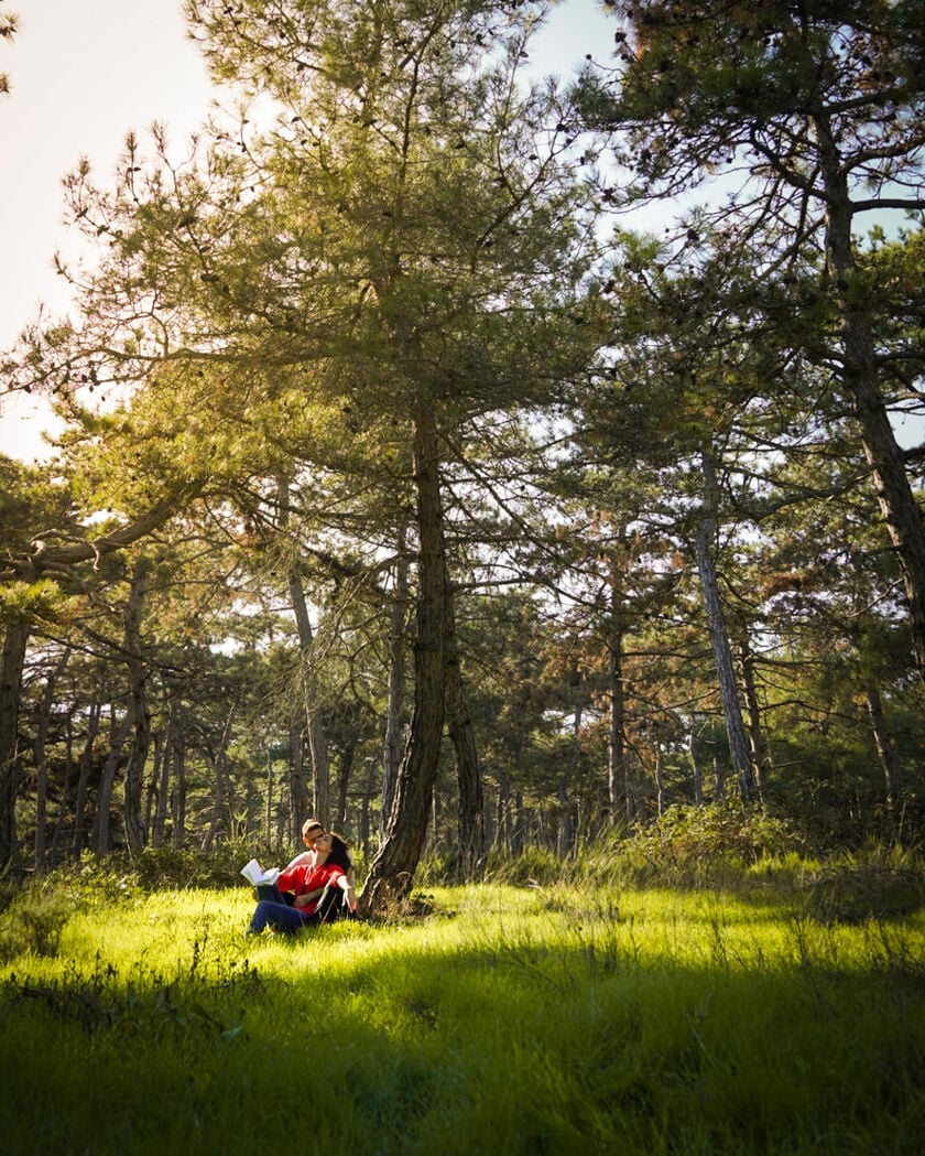 Relaxing time in National Park of Dadia Forest