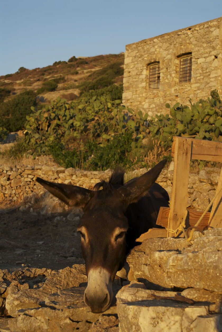 Mani, Peloponnese