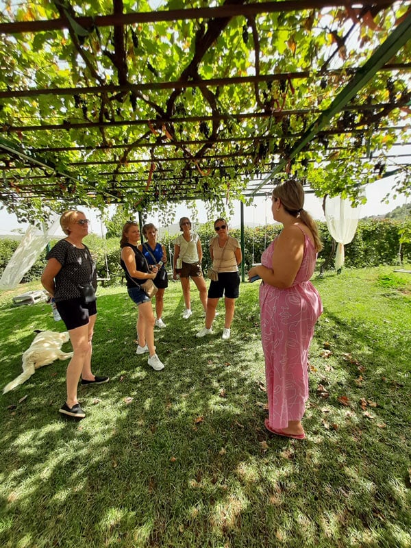 cyclingthroughancientvineyards-main-image