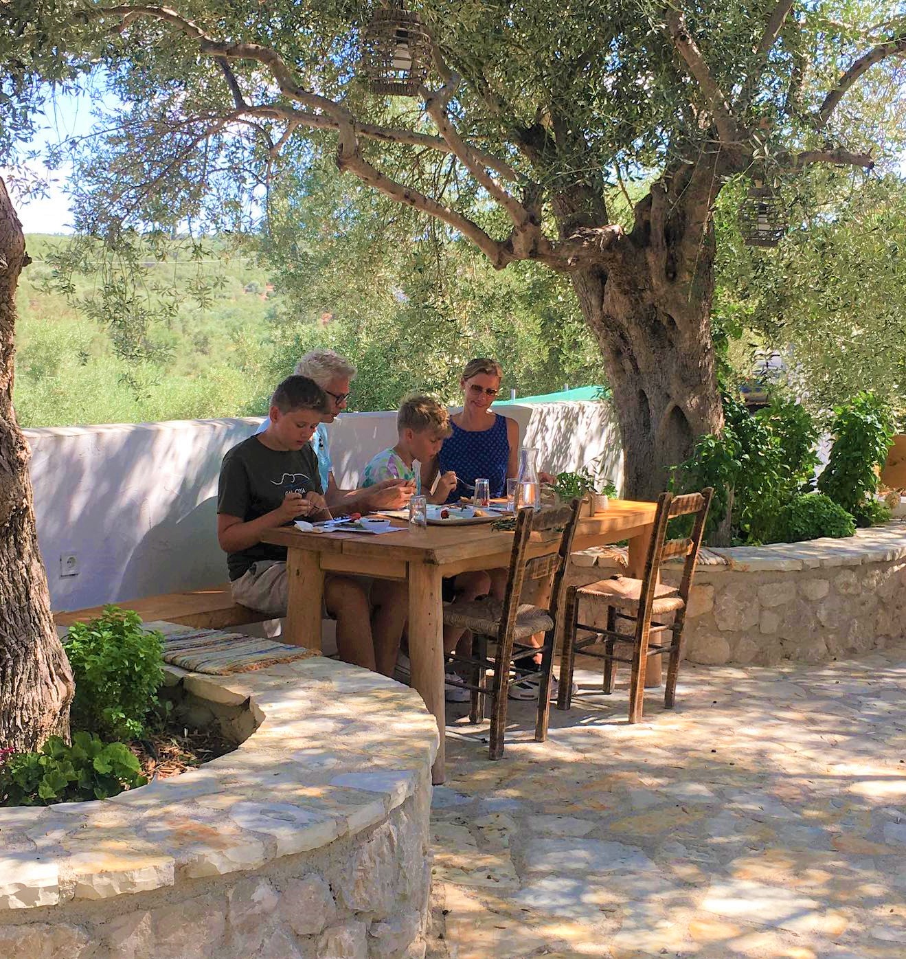 Olive Oil Tour & Tasting in an Olive grove in Messinia 