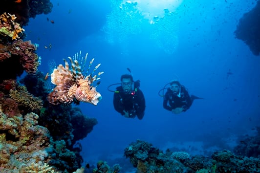 Santorini: Scuba Diving in two different sites