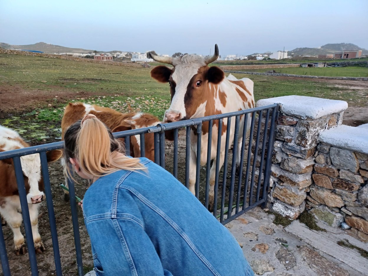 Mykonos: Visit the Mykonian Farm