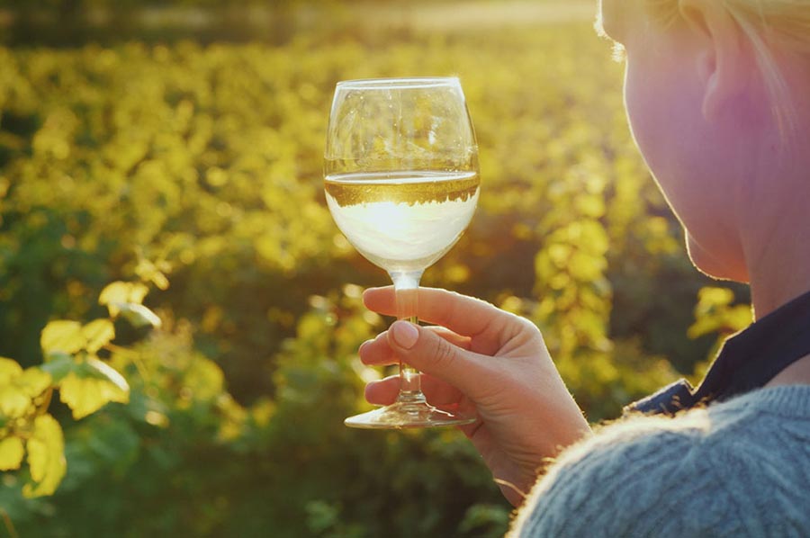 Accessible Wine Tour in Athens