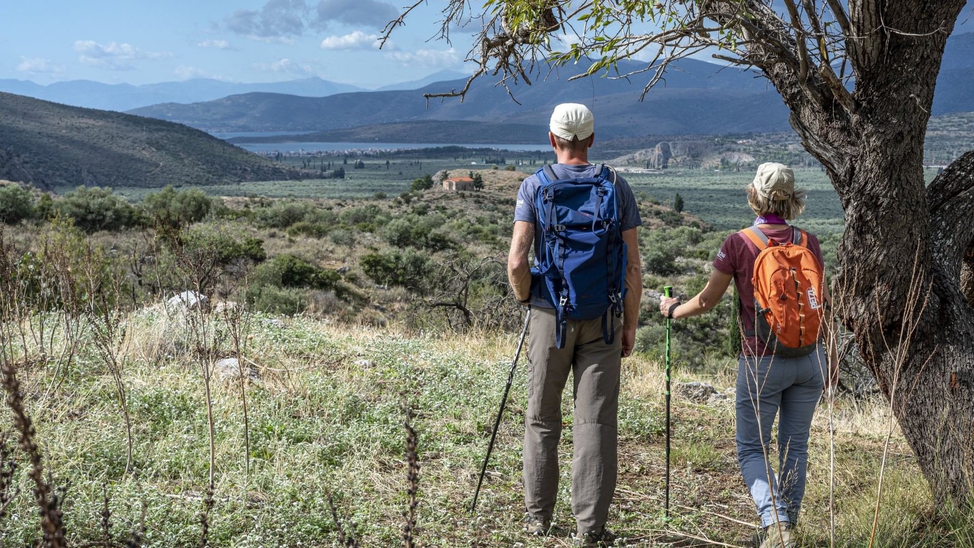 Hiking Tour on the Ancient Delphi Footpath
