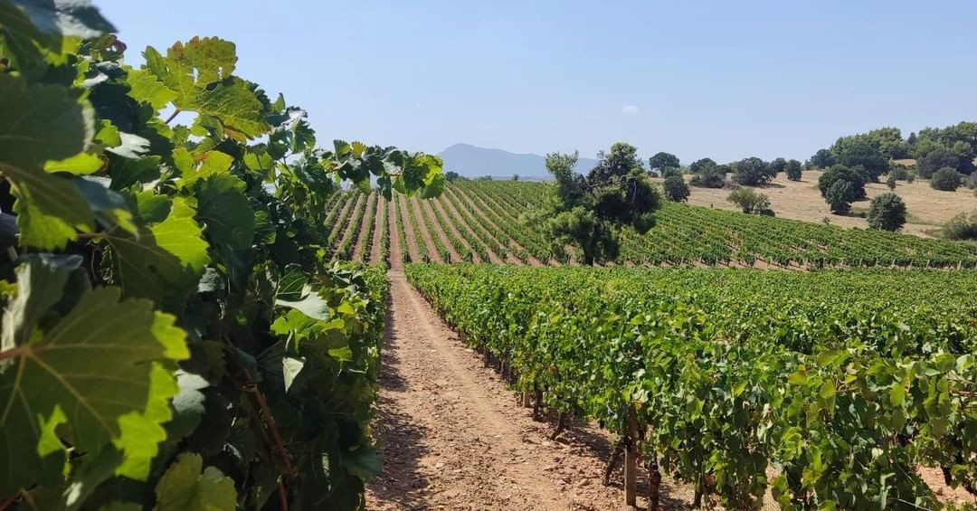 ath03-private-athens-marathon-lake-and-lazaridis-domaine-winery-tour-with-tasting-logo