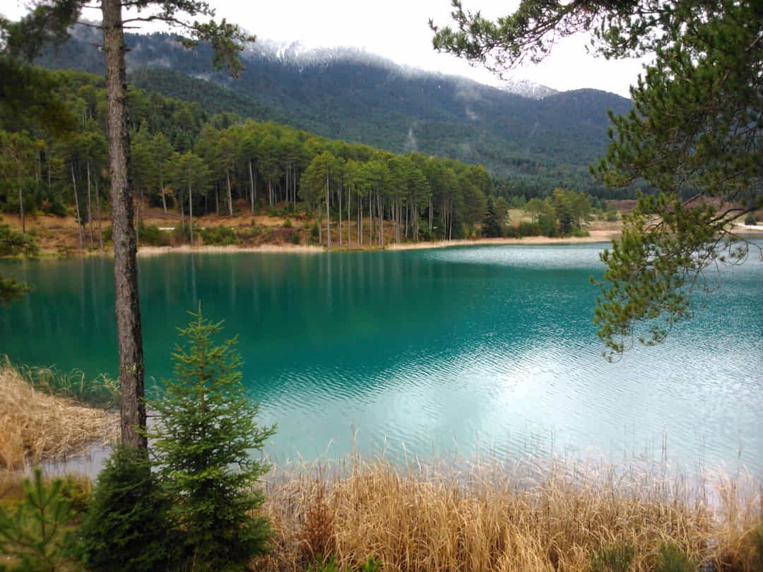 ath23-private-tour-to-mount-corinth-ziria-plateau-lake-dasiou-and-doxa-logo