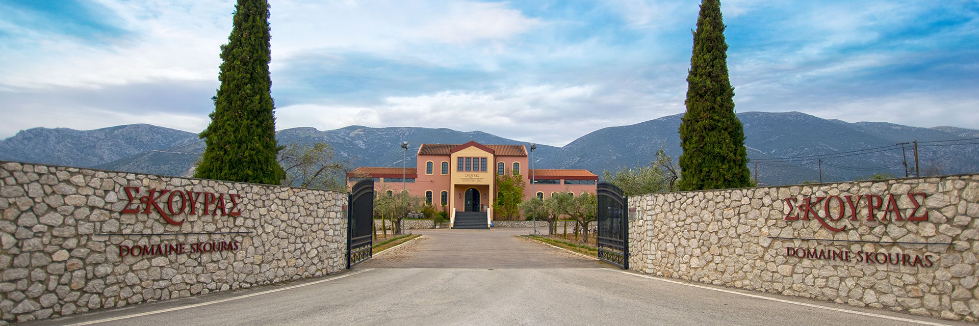 Authentic Wine Tasting and Greek Gastronomy Experience - Argos and Nafplio, Peloponnese