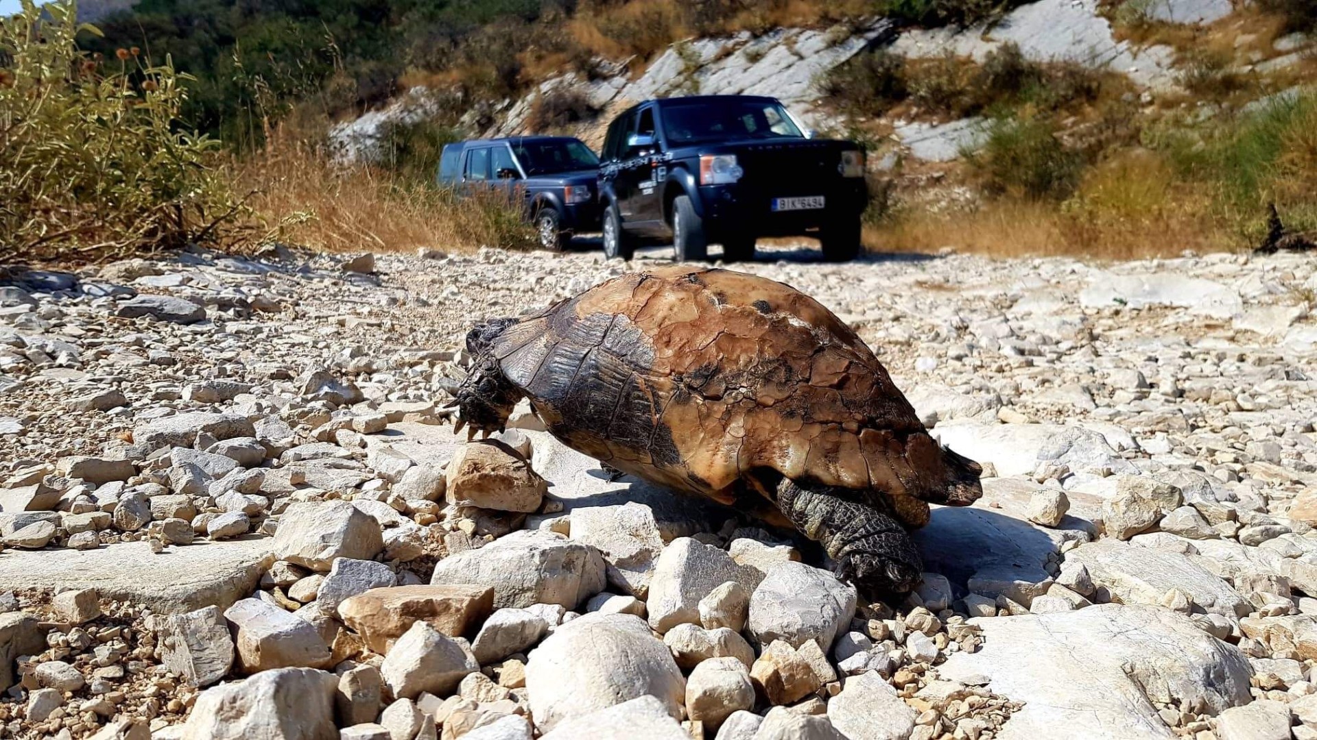 cfu02-explore-more-in-corfu-south-route-logo