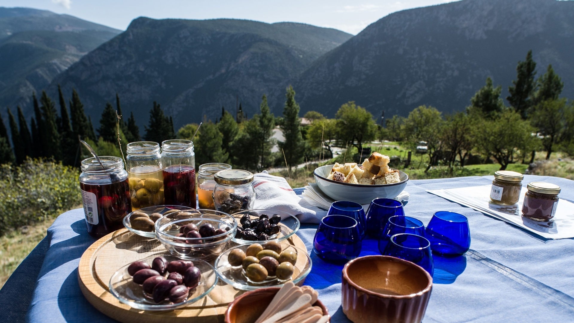 Delphi Ancient Olive Grove Tasting Workshop